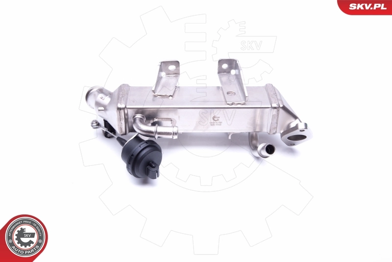 Cooler, exhaust gas recirculation